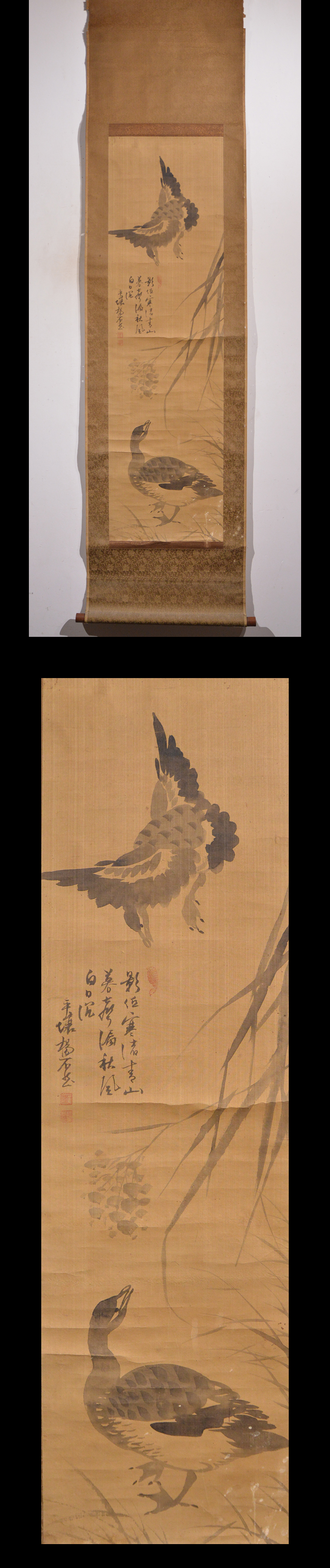 此商品圖像無法被轉載請進入原始網查看