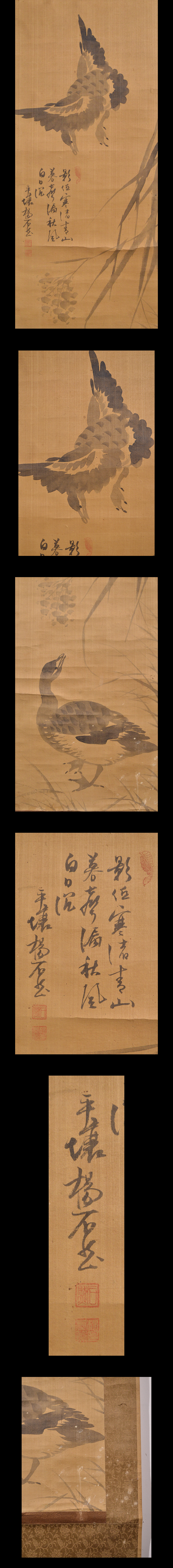 此商品圖像無法被轉載請進入原始網查看